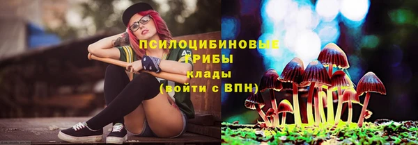 PSILOCYBIN Баксан
