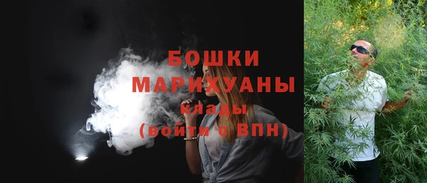 PSILOCYBIN Баксан