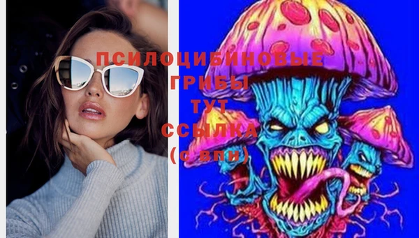 крисы Балахна