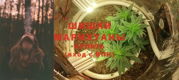PSILOCYBIN Баксан
