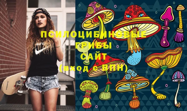 PSILOCYBIN Баксан